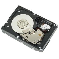 10TB 7.2K RPM NLSAS 12Gbps 512e 3.5in Internal Bay Hard Drive, CusKit