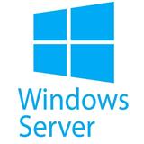 5-pack of Windows Server 2019/2016 User CALs (STD or DC) Cus Kit