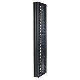 APC Valueline, Vertical Cable Manager for 2 & 4 Post Racks, 84"H X 6"W, Double-Sided with Doors