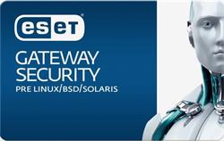 ESET Gateway Security for Linux/BSD/Solaris 11PC-25PC / 2 roky