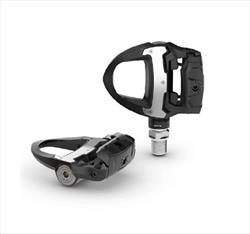 Garmin Rally RS 110
