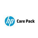 HP 60day Workspace SVC 1Usr E-LTU
