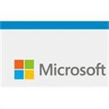 Microsoft Word LTSC 2024 (CSP perpetual)