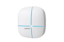 Netis WF2520P 300Mbps Wireless N High Power Access Point (Passive PoE)