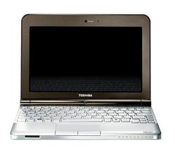 ROZ_Toshiba NB 200-136 N280 (1,66G) 10,1" WSVGA LED UMA 1GB 160GB WL BT Cam W7StartSK hnedy